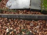 image of grave number 908399